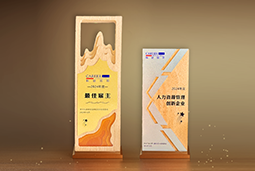 万象城AWC(中国)国际一举斩获“2024年度中国区最佳雇主”等多项大奖