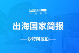 万象城AWC(中国)GO GLOBAL | 沙特阿拉伯国家简报